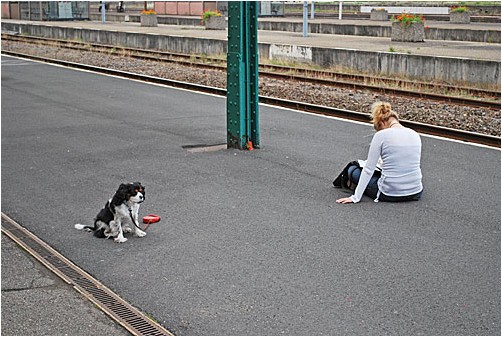  eine Frau und ihr Hund warten auf den Zug | a woman and her dog are waiting for a train